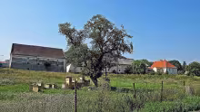 Bělušice