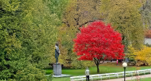 Dvořákovy sady (Karlovy Vary)