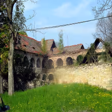 Boreč