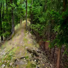 Boršov