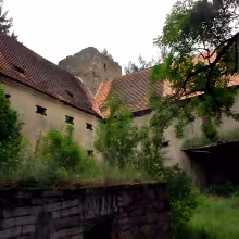 Buzice