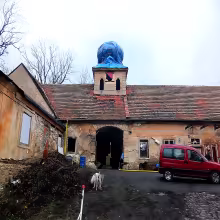 Cibulka