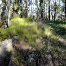 Hrad na Zámeckém vrchu