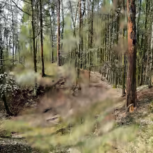 Hrádek u Vrbice