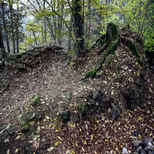 Košíkov