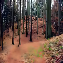 Pěčín