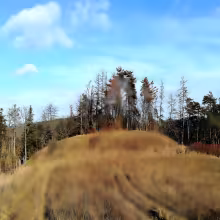 Rysov (Tišnovská Nová Ves)