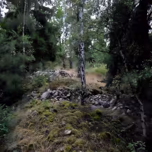 Zvěřinec