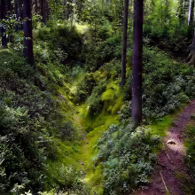 Volarské šance