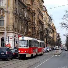 Korunní