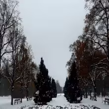 Borský park