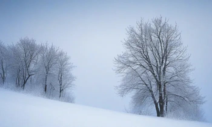 Baťův mrakodrap – winter