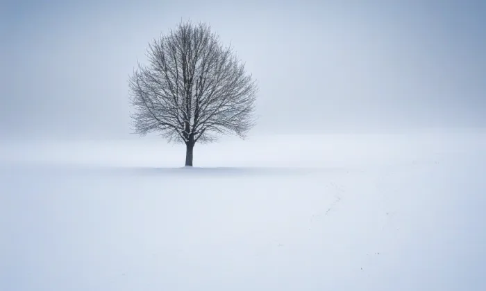 Berkovský zámeček – winter