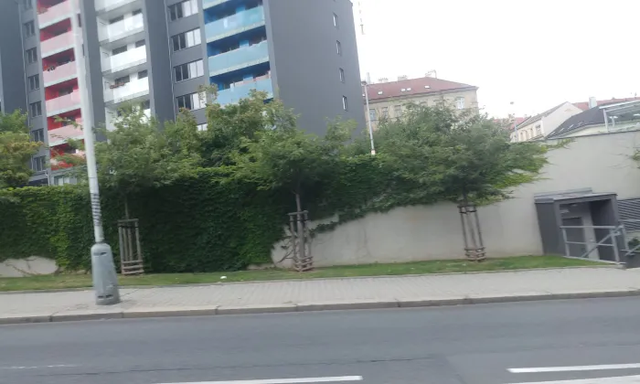 Bezovka