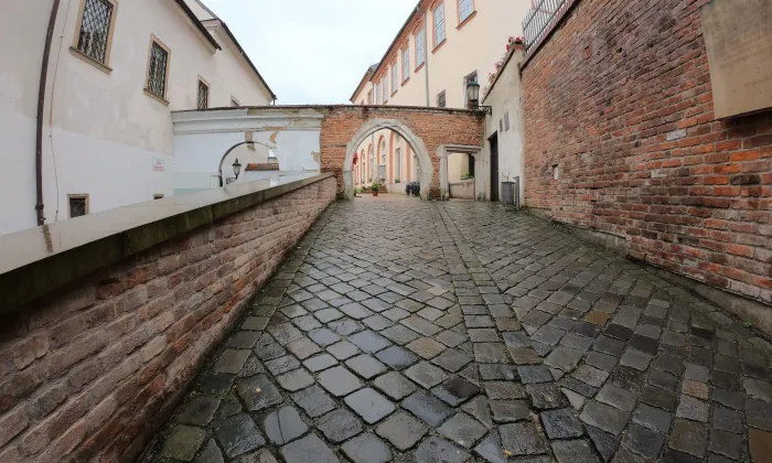 Biskupský dvůr