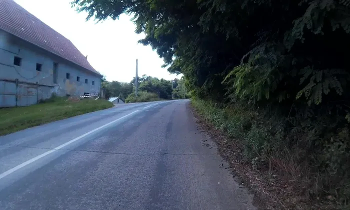 Diváky