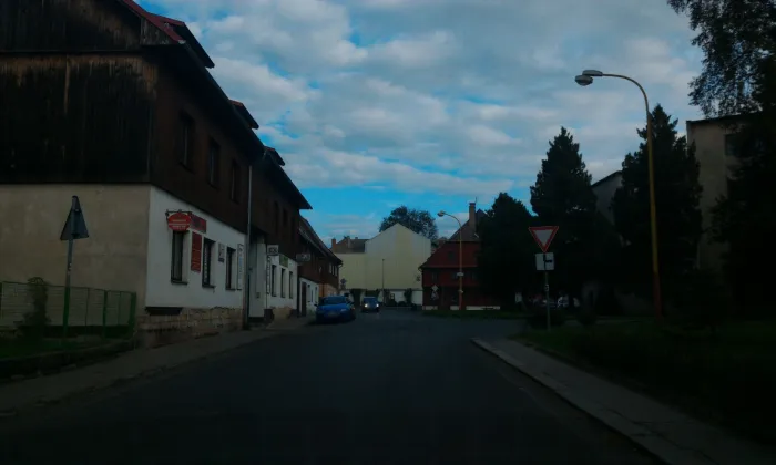 Salhausenovský dům