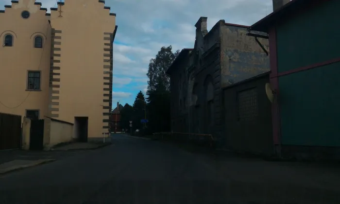 Salhausenovský dům