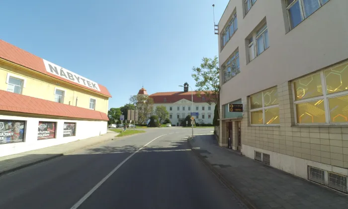 Kostel Nanebevzetí Panny Marie (Holešov)