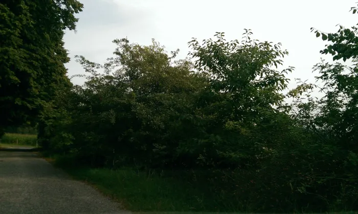Kostel Nejsvětější Trojice (Bzí)