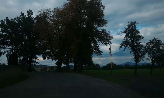 Kostel svatého Václava (Malá Bukovina)