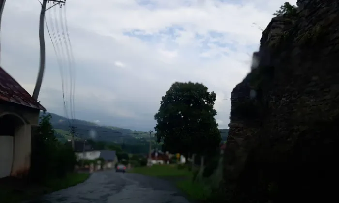 Kostel svatých Petra a Pavla (Petrovice u Sušice)