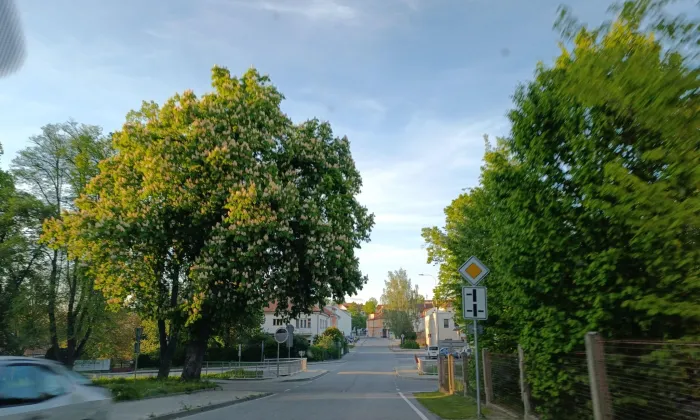 Sbor Církve československé husitské