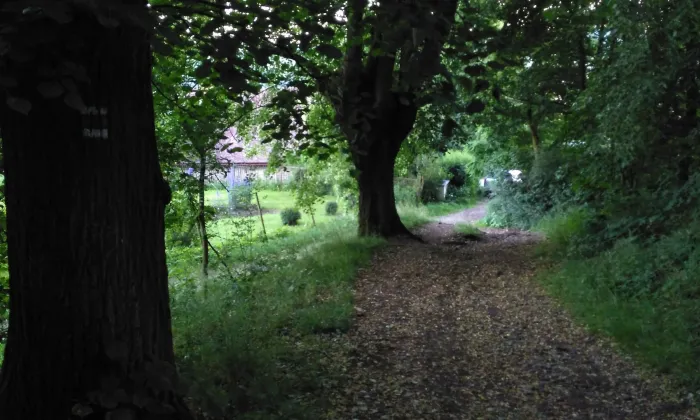 kaple Bolestné Panny Marie a studniční stavení