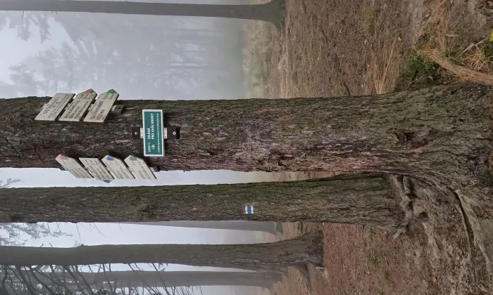 kaple svatého Kříže (Žďár nad Metují)