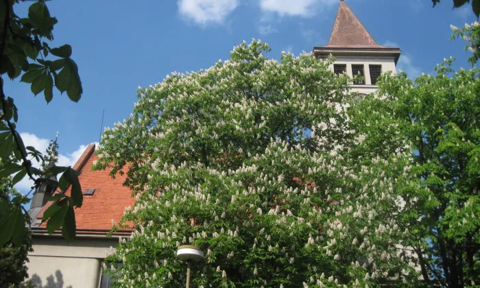 kostel Božského srdce Páně (Blažovice)
