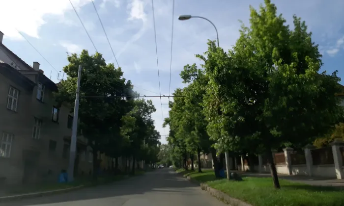 Mánesova (Jižní Předměstí)
