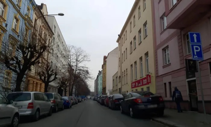 Mánesova (Jižní Předměstí)