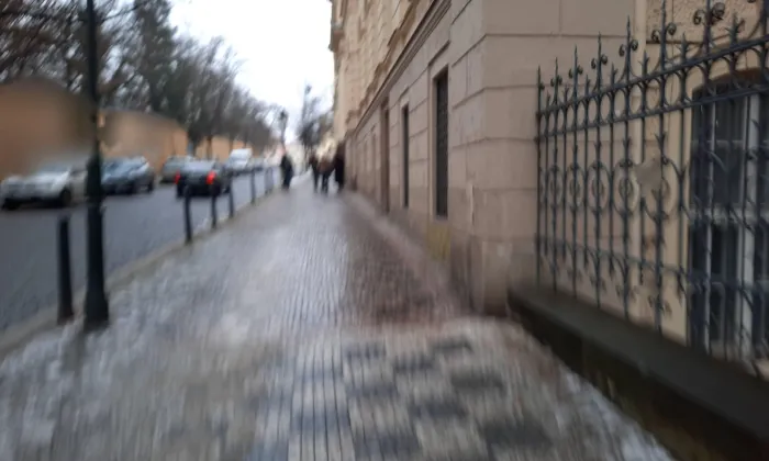 Viničná
