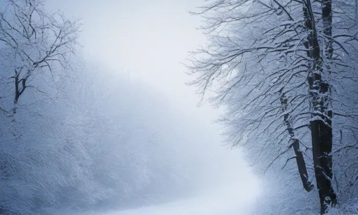 Čížkovice – winter