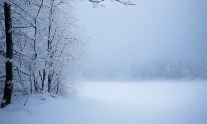 Čapkův most – winter