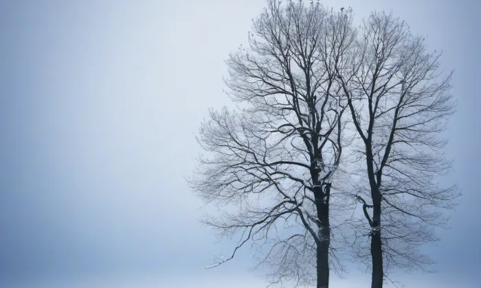 Řečkovický HRáj – winter