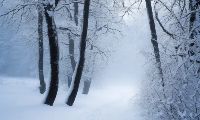 Žebrák – winter