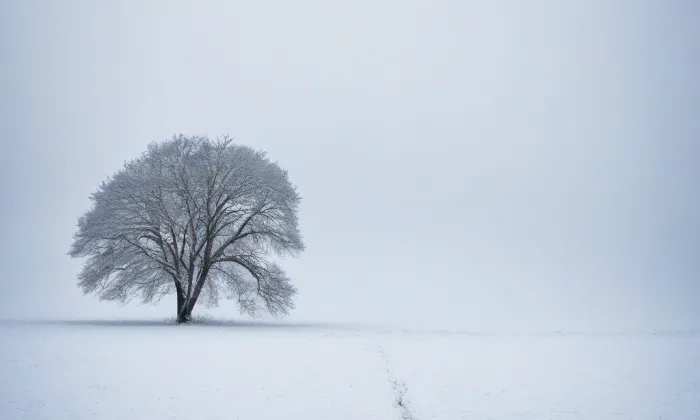 Čeladná – winter