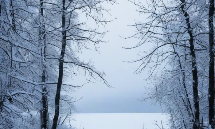 Čelakovského sady – winter