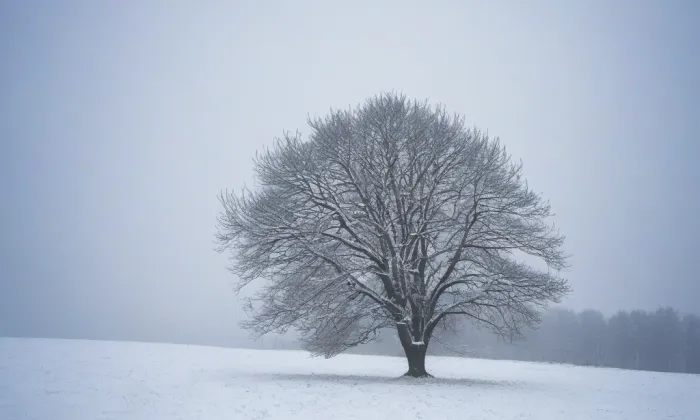 Železná – winter