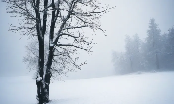 Šelmberk (Lesná) – winter