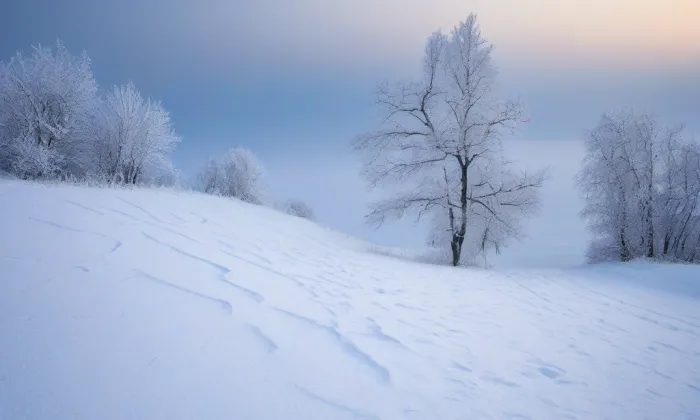 Černá – winter