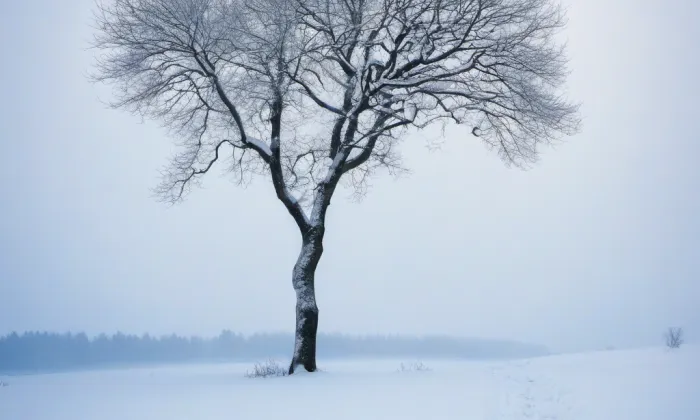 Černínská 12 – winter