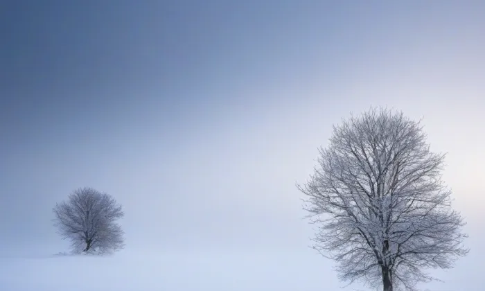 Červený dům v České Lípě – winter