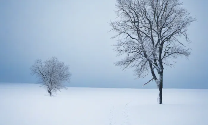 Červený kostel (Předměstí) – winter