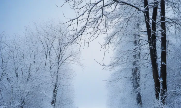 Červený kostel v Teplicích – winter