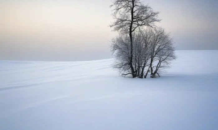 Červený most – winter
