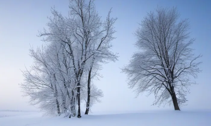 Česká křesťanská akademie – winter