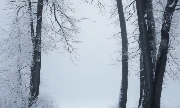 Šibice – winter
