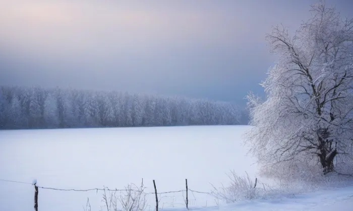 Židlochovice – winter